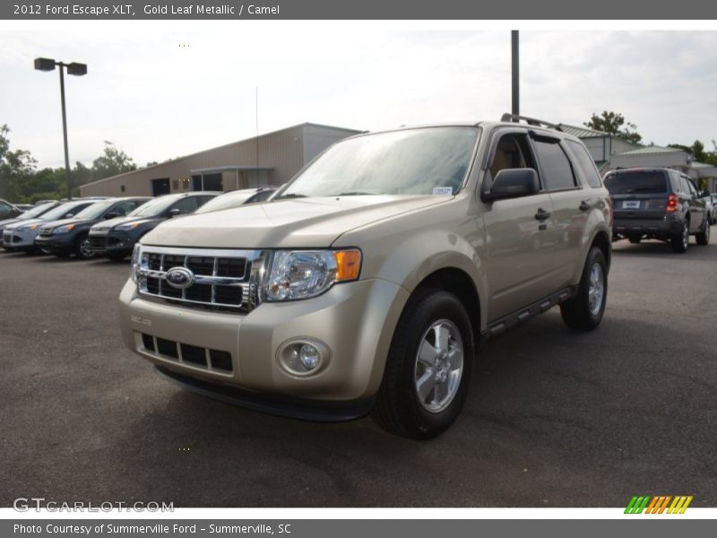 Gold Leaf Metallic / Camel 2012 Ford Escape XLT