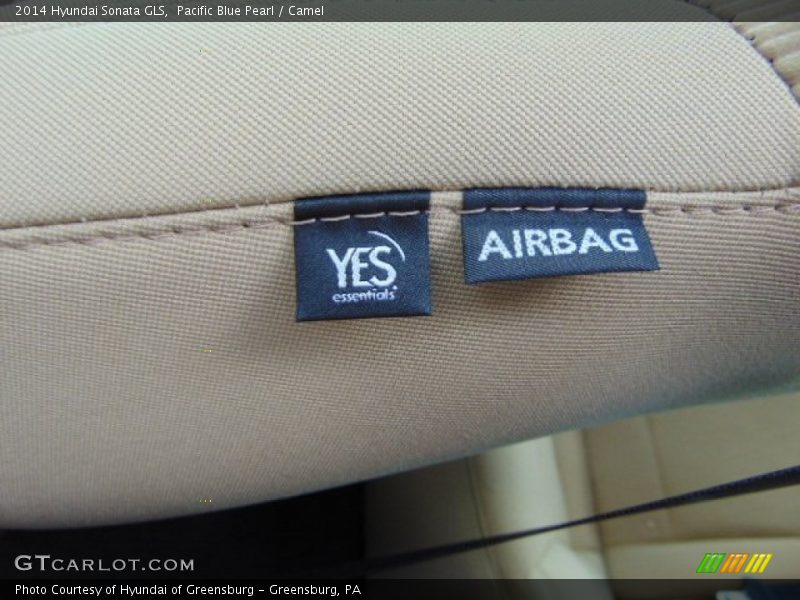 Pacific Blue Pearl / Camel 2014 Hyundai Sonata GLS