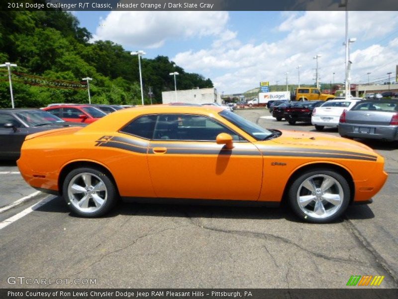 Header Orange / Dark Slate Gray 2014 Dodge Challenger R/T Classic