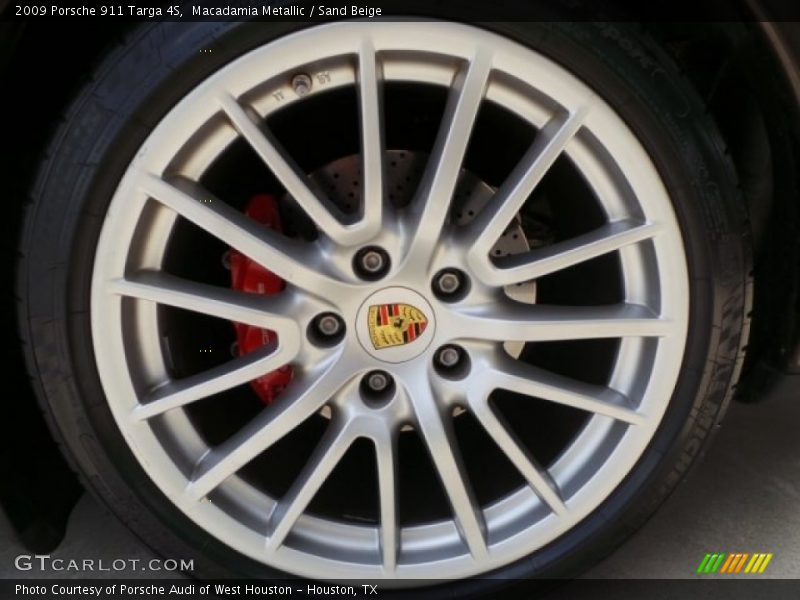  2009 911 Targa 4S Wheel