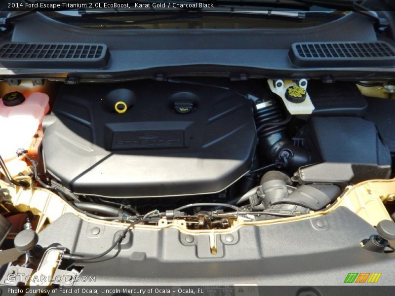 Karat Gold / Charcoal Black 2014 Ford Escape Titanium 2.0L EcoBoost