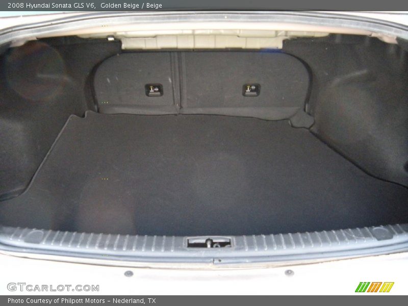 Golden Beige / Beige 2008 Hyundai Sonata GLS V6
