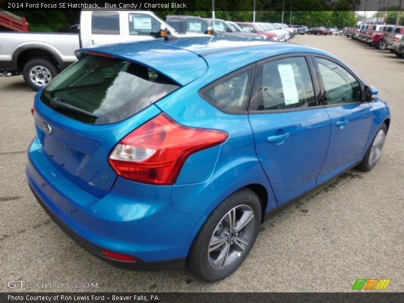 Blue Candy / Charcoal Black 2014 Ford Focus SE Hatchback
