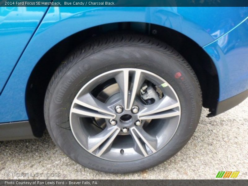 Blue Candy / Charcoal Black 2014 Ford Focus SE Hatchback