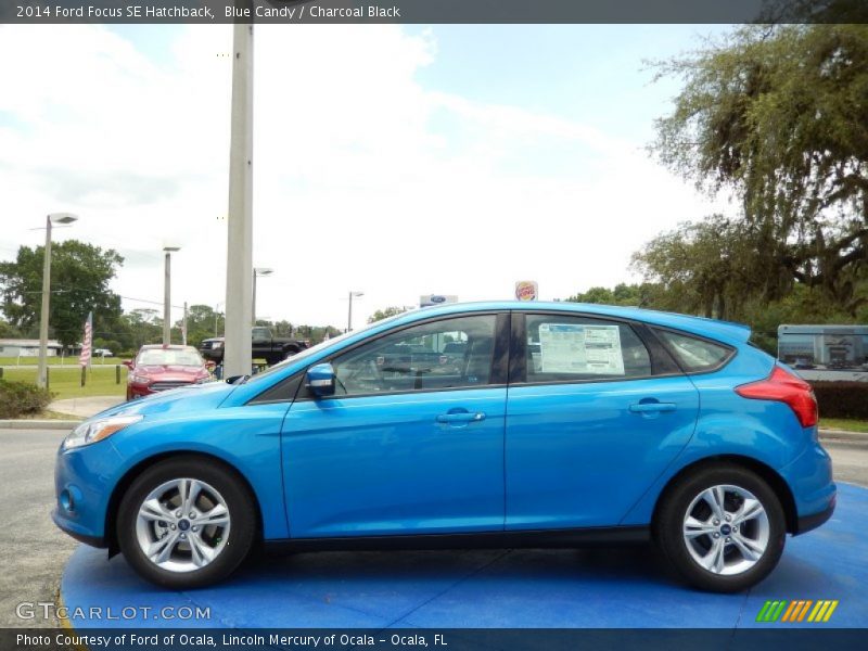 Blue Candy / Charcoal Black 2014 Ford Focus SE Hatchback