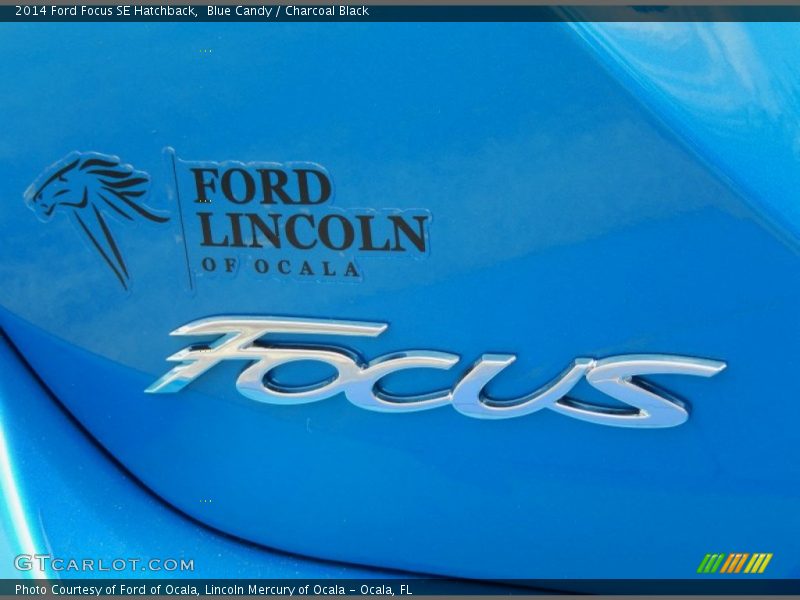 Blue Candy / Charcoal Black 2014 Ford Focus SE Hatchback