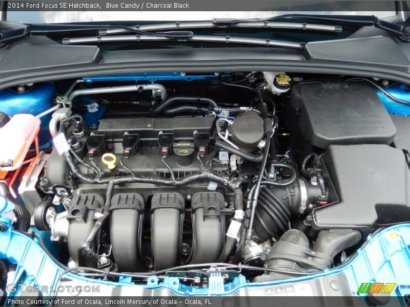 Blue Candy / Charcoal Black 2014 Ford Focus SE Hatchback