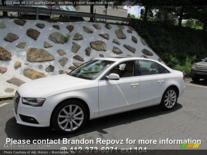 Ibis White / Velvet Beige/Moor Brown 2013 Audi A4 2.0T quattro Sedan