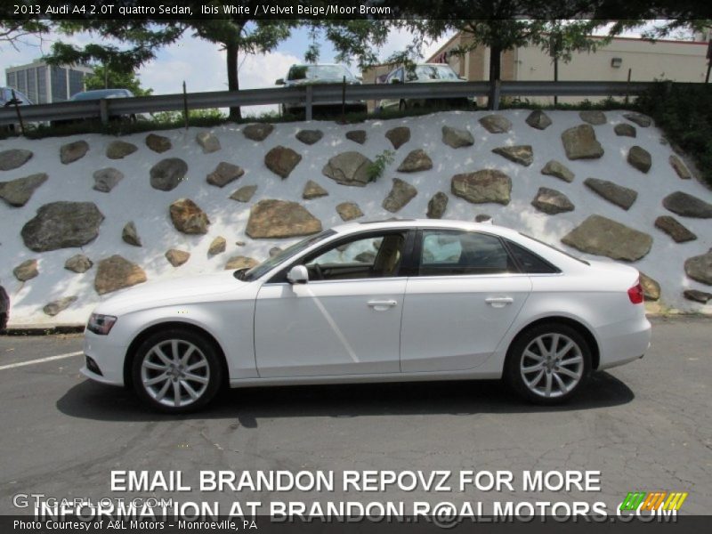 Ibis White / Velvet Beige/Moor Brown 2013 Audi A4 2.0T quattro Sedan