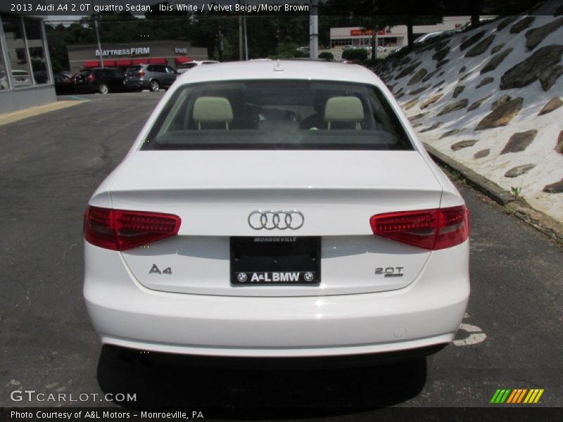 Ibis White / Velvet Beige/Moor Brown 2013 Audi A4 2.0T quattro Sedan