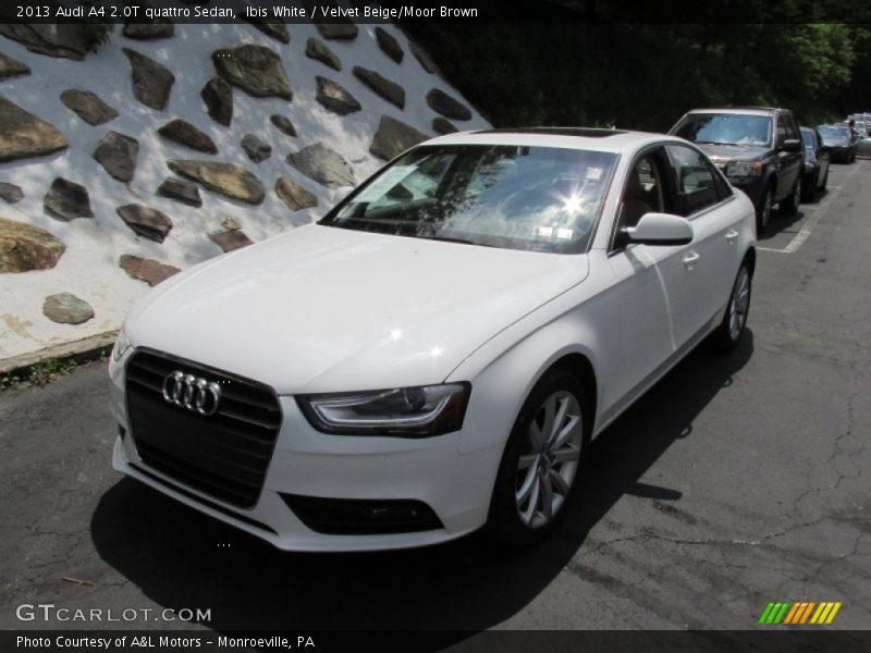 Ibis White / Velvet Beige/Moor Brown 2013 Audi A4 2.0T quattro Sedan