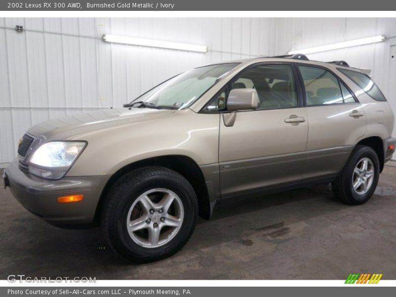 Burnished Gold Metallic / Ivory 2002 Lexus RX 300 AWD