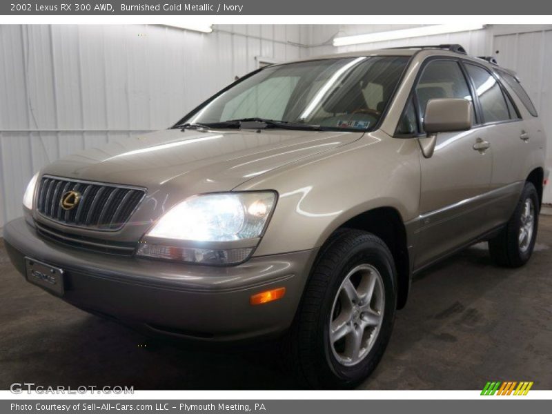 Burnished Gold Metallic / Ivory 2002 Lexus RX 300 AWD