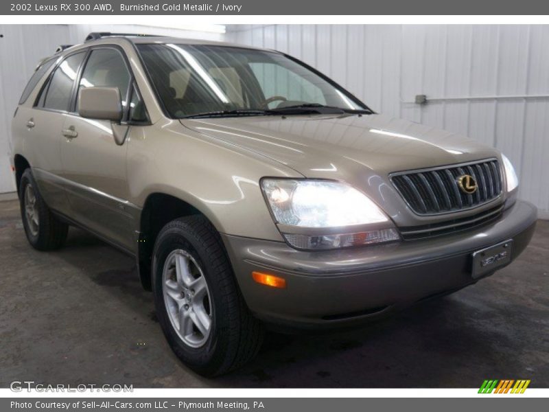 Burnished Gold Metallic / Ivory 2002 Lexus RX 300 AWD