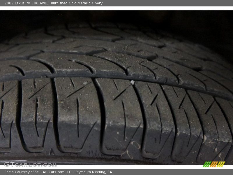 Burnished Gold Metallic / Ivory 2002 Lexus RX 300 AWD
