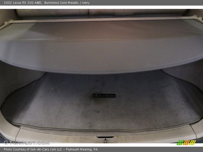 Burnished Gold Metallic / Ivory 2002 Lexus RX 300 AWD