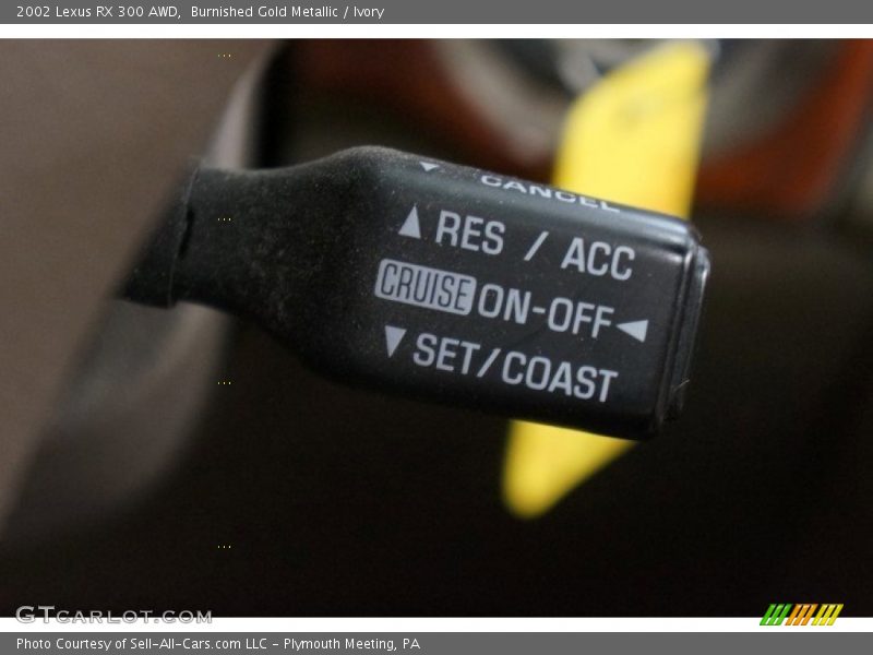Burnished Gold Metallic / Ivory 2002 Lexus RX 300 AWD