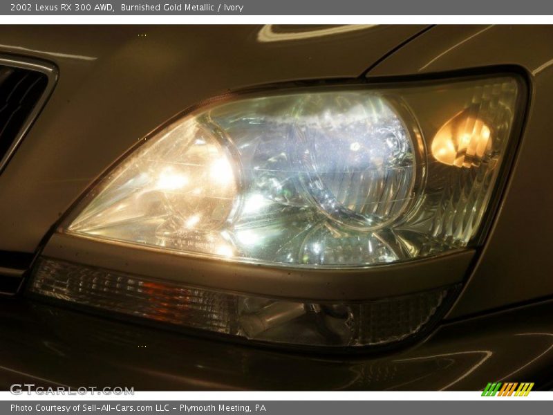 Burnished Gold Metallic / Ivory 2002 Lexus RX 300 AWD