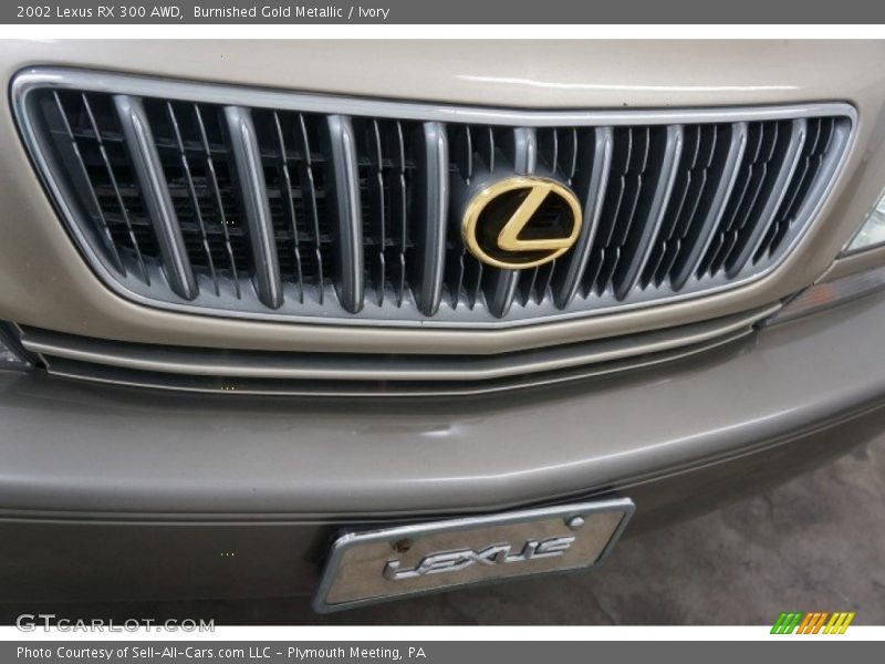Burnished Gold Metallic / Ivory 2002 Lexus RX 300 AWD