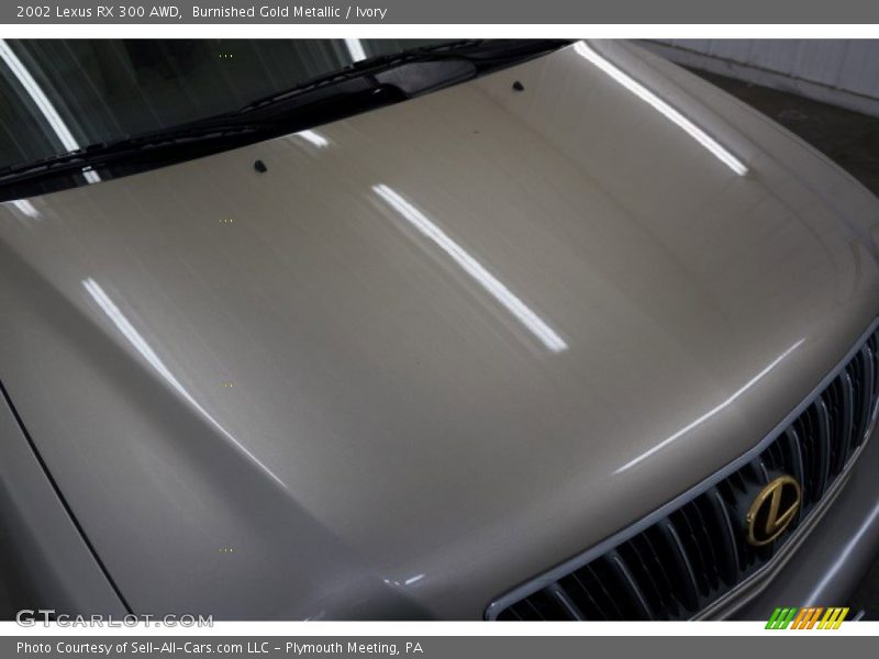 Burnished Gold Metallic / Ivory 2002 Lexus RX 300 AWD