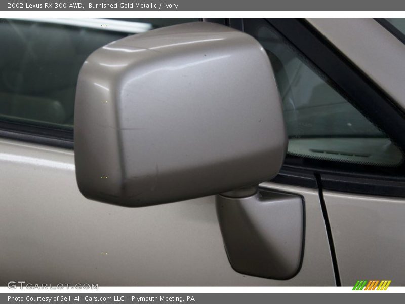 Burnished Gold Metallic / Ivory 2002 Lexus RX 300 AWD