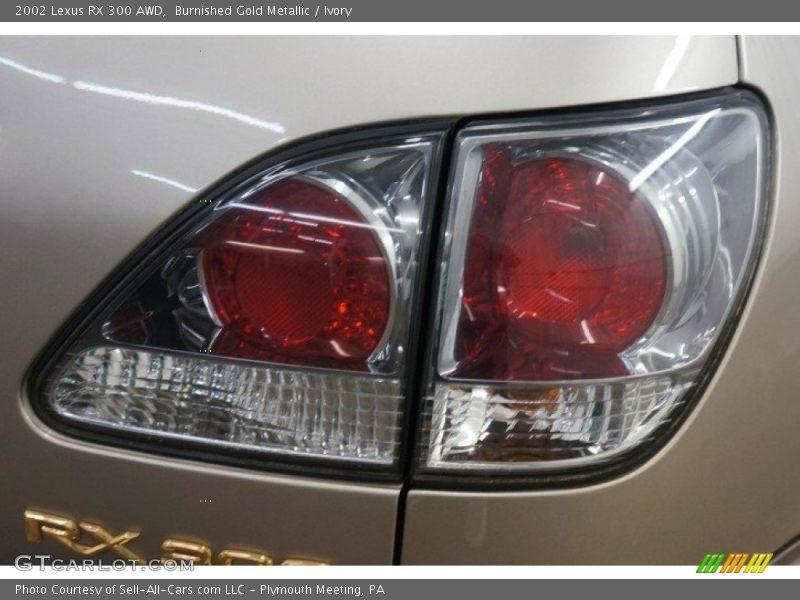 Burnished Gold Metallic / Ivory 2002 Lexus RX 300 AWD