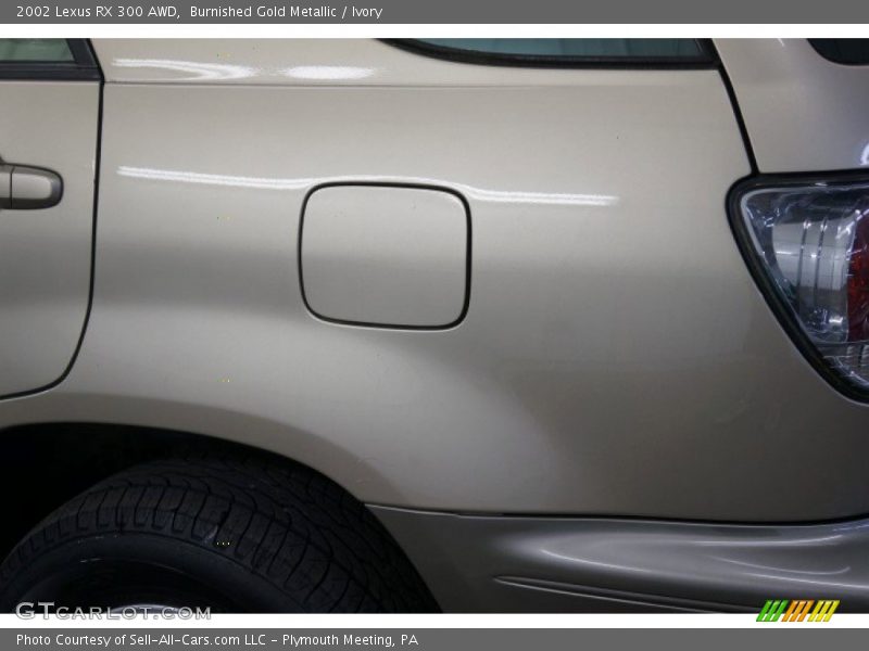 Burnished Gold Metallic / Ivory 2002 Lexus RX 300 AWD