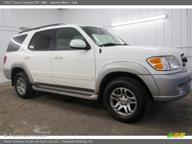 Natural White / Oak 2003 Toyota Sequoia SR5 4WD
