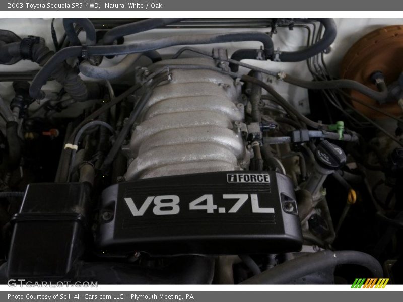 Natural White / Oak 2003 Toyota Sequoia SR5 4WD