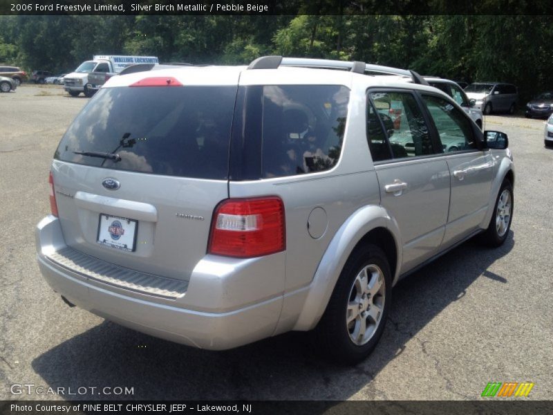 Silver Birch Metallic / Pebble Beige 2006 Ford Freestyle Limited