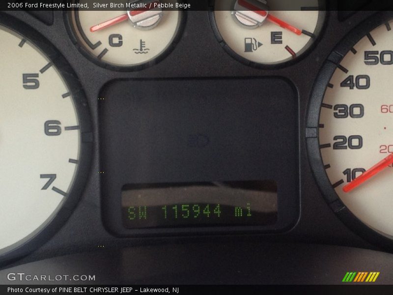 Silver Birch Metallic / Pebble Beige 2006 Ford Freestyle Limited