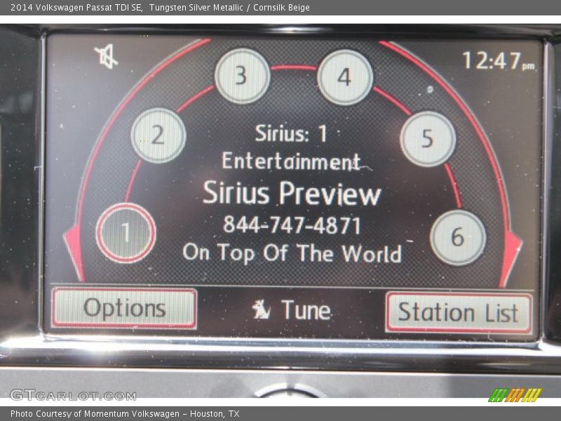 Tungsten Silver Metallic / Cornsilk Beige 2014 Volkswagen Passat TDI SE