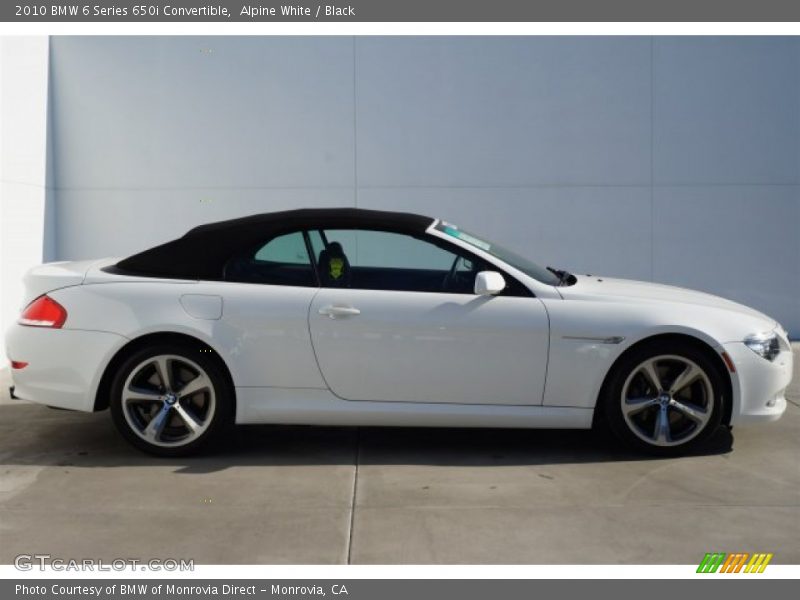 Alpine White / Black 2010 BMW 6 Series 650i Convertible