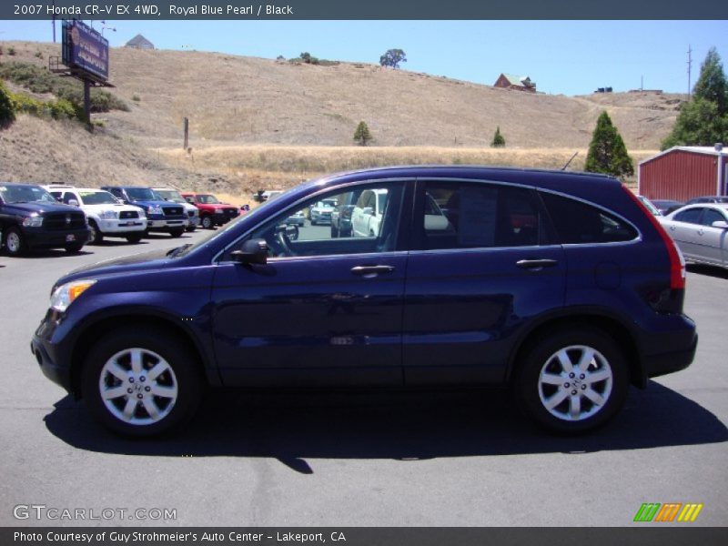 Royal Blue Pearl / Black 2007 Honda CR-V EX 4WD