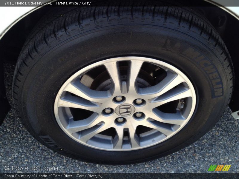 Taffeta White / Gray 2011 Honda Odyssey EX-L