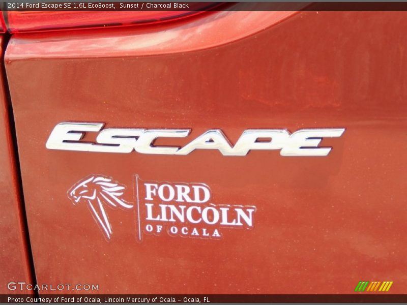 Sunset / Charcoal Black 2014 Ford Escape SE 1.6L EcoBoost