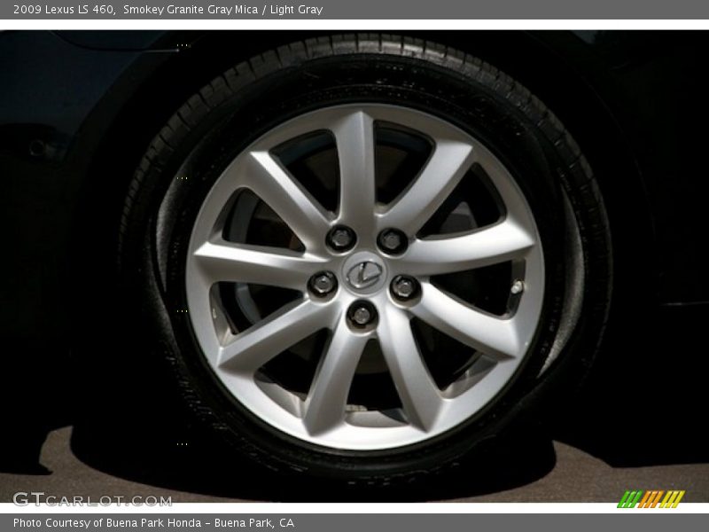 Smokey Granite Gray Mica / Light Gray 2009 Lexus LS 460