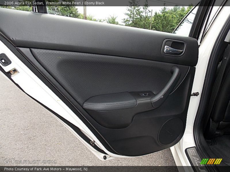 Door Panel of 2006 TSX Sedan