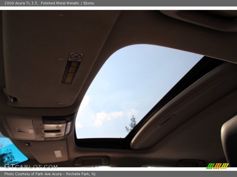 Polished Metal Metallic / Ebony 2009 Acura TL 3.5