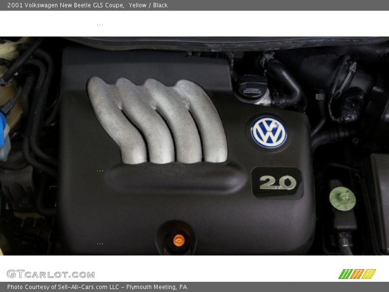 Yellow / Black 2001 Volkswagen New Beetle GLS Coupe