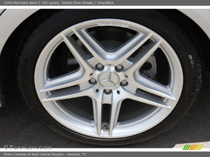 Iridium Silver Metallic / Grey/Black 2009 Mercedes-Benz C 300 Luxury