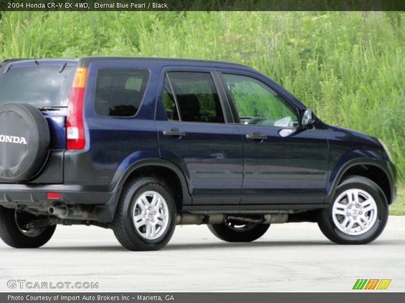 Eternal Blue Pearl / Black 2004 Honda CR-V EX 4WD