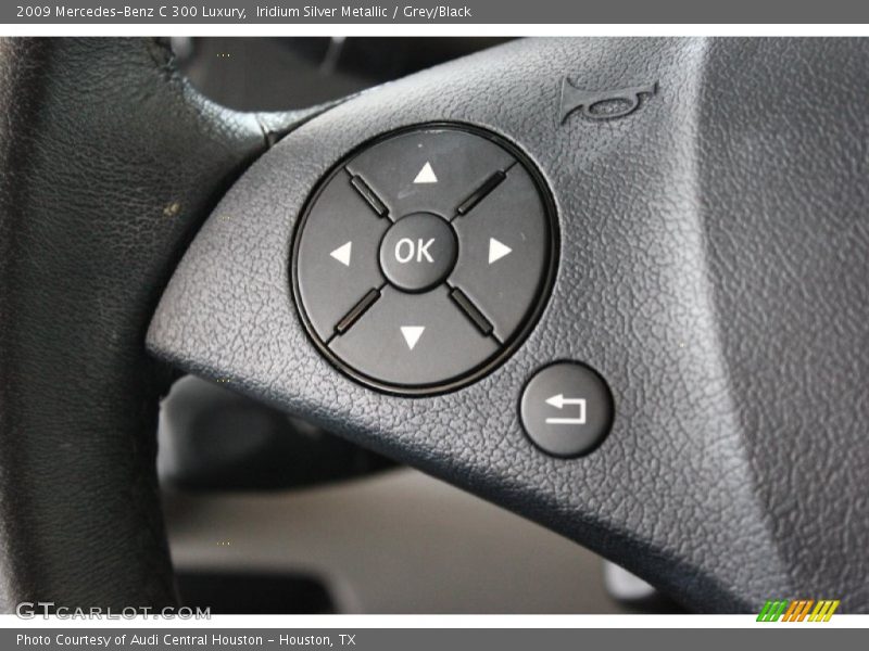 Iridium Silver Metallic / Grey/Black 2009 Mercedes-Benz C 300 Luxury