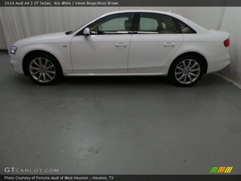 Ibis White / Velvet Beige/Moor Brown 2014 Audi A4 2.0T Sedan