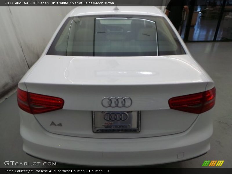 Ibis White / Velvet Beige/Moor Brown 2014 Audi A4 2.0T Sedan