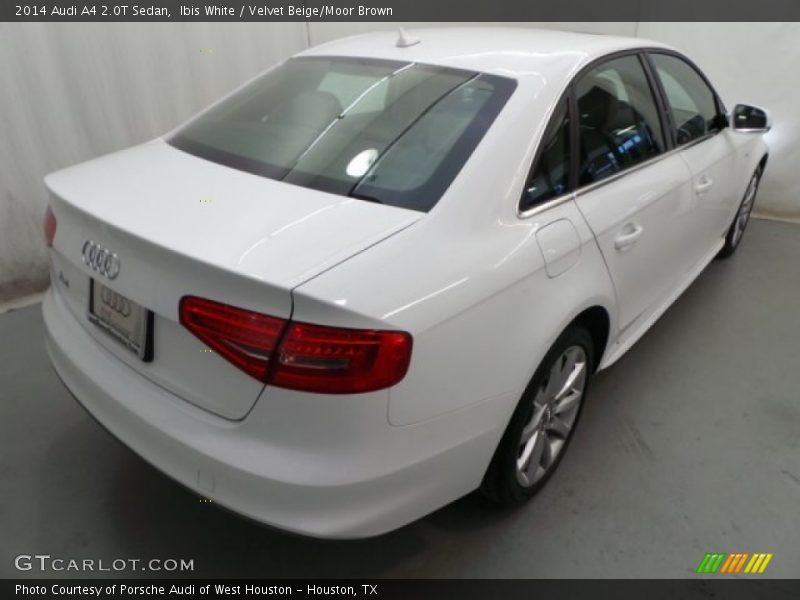 Ibis White / Velvet Beige/Moor Brown 2014 Audi A4 2.0T Sedan