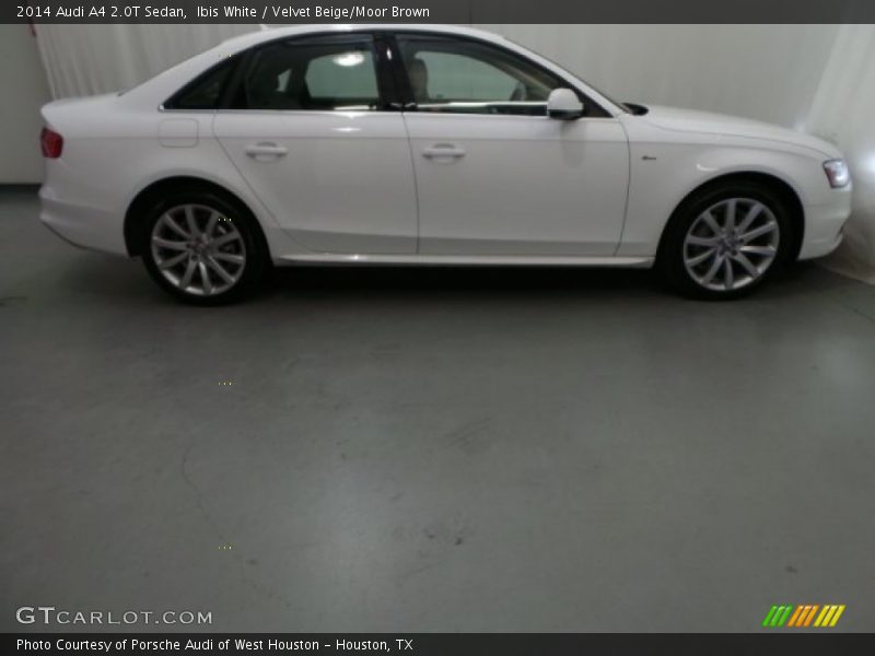 Ibis White / Velvet Beige/Moor Brown 2014 Audi A4 2.0T Sedan