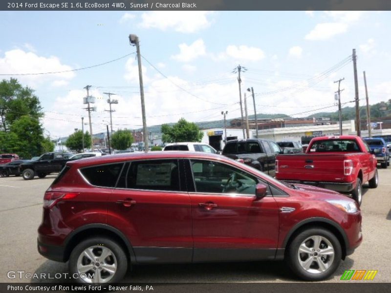 Sunset / Charcoal Black 2014 Ford Escape SE 1.6L EcoBoost 4WD