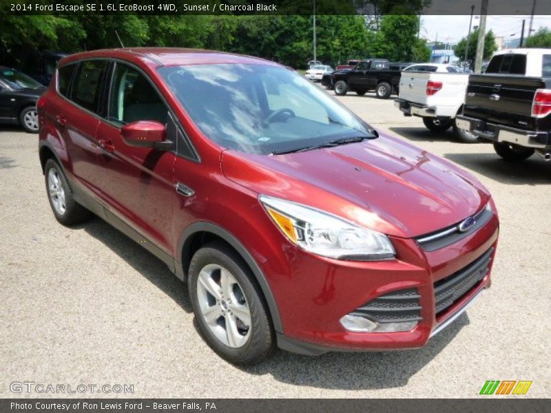Sunset / Charcoal Black 2014 Ford Escape SE 1.6L EcoBoost 4WD
