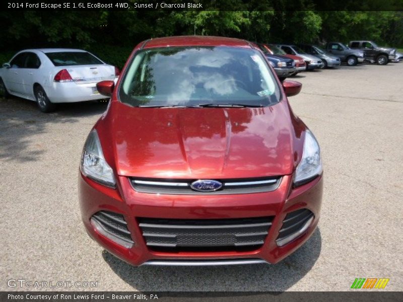 Sunset / Charcoal Black 2014 Ford Escape SE 1.6L EcoBoost 4WD